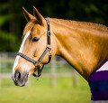 Norton Diamond Headcollar